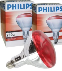 Equideos Ampoule infrarouge Philips 250W