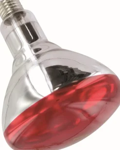 Best Equideos Ampoule rouge Philips