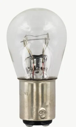 Best Equideos Ampoules 12V 21W - 10 pièces
