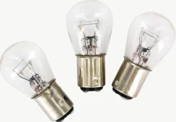 Best Equideos Ampoules 12V 21W - 10 pièces