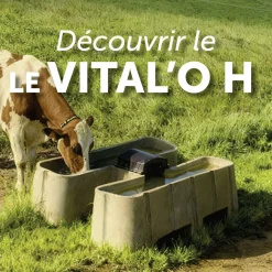 Best Equideos Bac Vital'O Haut débit