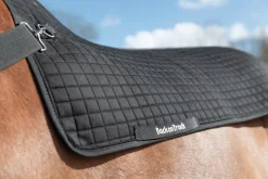Equideos Chauffe dos Back Warmer Royal - Back On Track