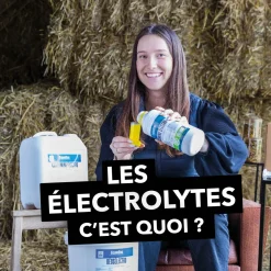 Online Equideos Déosélectro - poudre et pâte