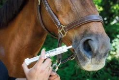 Equideos Déosélectro - pâte - 30ml - 3 seringues