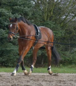 Best Equideos Enrênement à poulies - T. cheval