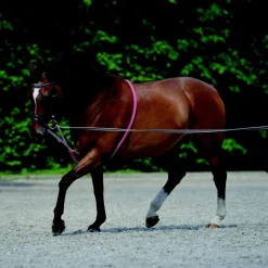 New Equideos Enrênement extenseur - T. cheval