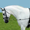 Hot Equideos Enrênement élastique - T. cheval