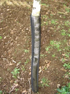 Sale Equideos Gaines de protection tronc - Ø11cm - 55cm - 120 pièces