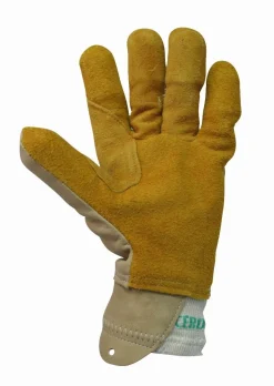 Best Equideos Gants sécurité sécateur à batterie - Peaucéros