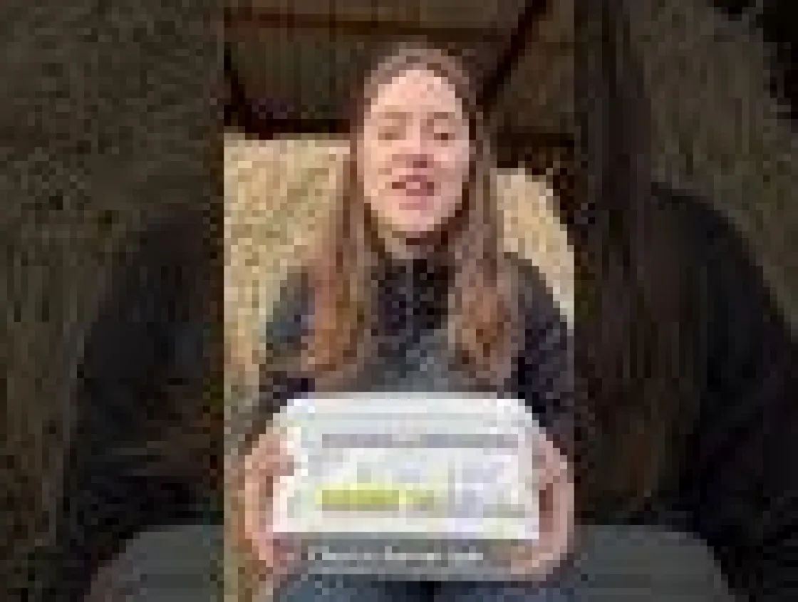 Best Equideos Gattilier - Poudre - 1kg
