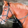 Sale Equideos Gogue à poulies - T. cheval