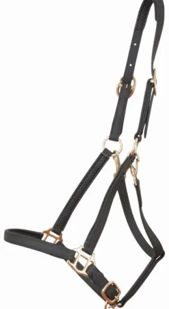 Discount Equideos Licol Biotack - T. Cheval