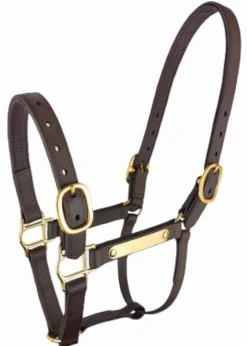 Best Equideos Licol Biotack - T. cheval - marron