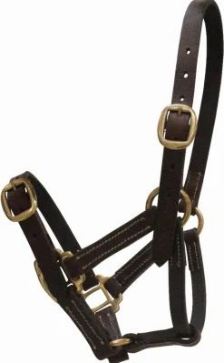 Equideos Licol cuir - Latigo/Celtic Equine