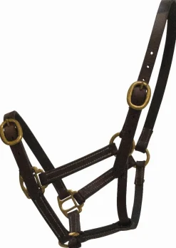 Equideos Licol cuir - Latigo/Celtic Equine