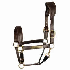 Equideos Licol en cuir matelassé et doublé