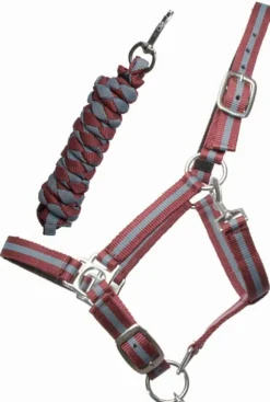 Best Equideos Licol et longe nylon doublé cuir