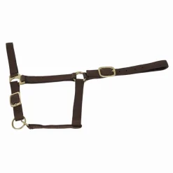 Clearance Equideos Licol nylon doublé cuir - Marron - T.Yearling