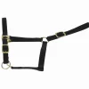 Equideos Licol nylon doublé cuir - T. cheval de trait