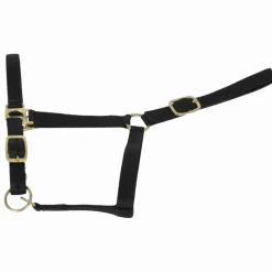Equideos Licol nylon doublé cuir - T. cheval de trait