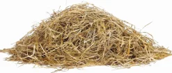 Clearance Equideos Origin Fiber High Energy