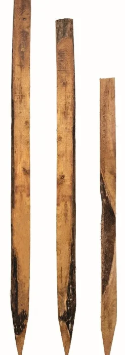 Hot Equideos Piquet acacia non écorcé scié
