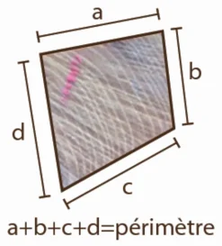 Hot Equideos Piquet acacia non écorcé scié